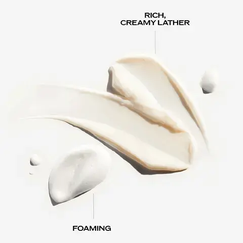 Image 1, FOAMING RICH, CREAMY LATHER Image 2, ANTI-AGING CLEANSER SHISEIDO FUTURE SOLUTION EX REMOVES IMPURITIES WHILE RETAINING FRESH, SMOOTH LOOK AND FEEL PREPS SKIN FOR BETTER ABSORPTION SKIN'S MOISTURE Image 3, ENMEI-HERB EXTRACT Antioxidant properties Helps slow down the appearance of visible signs of aging. image 4, make skincare treatments more effective 97%. consumer test on 110 volunteers after 2 weeks of using product. image 5, day routine. step 1 = cleanse. step 2 = soften. step 3 = repair. step 4 = regenerate.