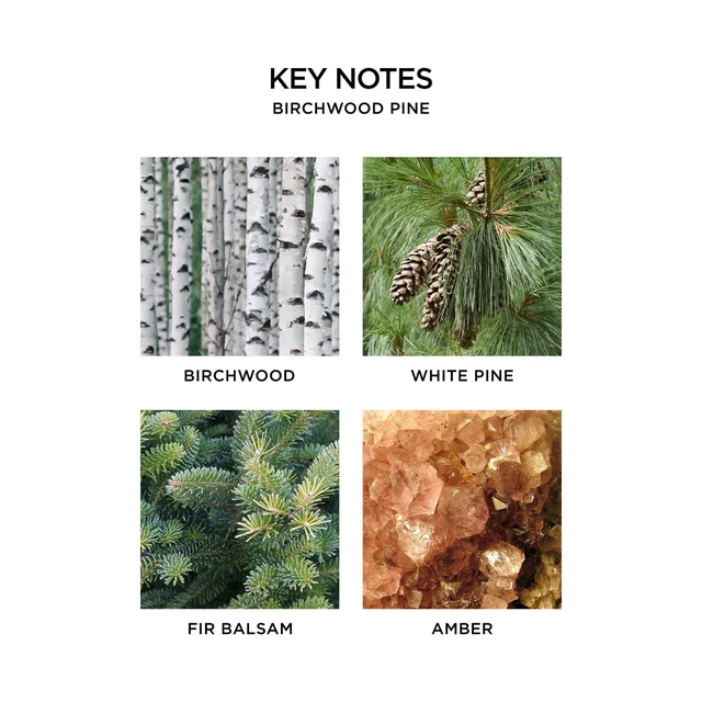 KEY NOTES BIRCHWOOD PINE BIRCHWOOD WHITE PINE FIR BALSAM AMBER