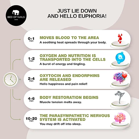 An infographic titled Just Lie Down and Hello Euphoria! from Bed of Nails, outlining benefits across different time intervals: 0-1 min moves blood to the area; 1-2 min oxygen and nutrition is transported into the cells; 2-4 min oxytocin and endorphins are released; 4-6 min body restoration begins; and 10-20 min the parasympathetic nervous system is activated, along with corresponding icons and a clock.