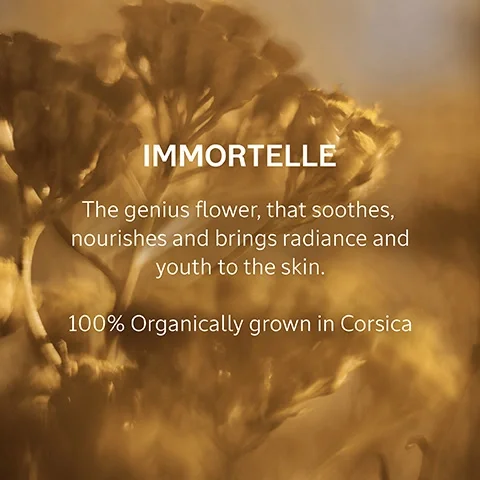 Immortelle. The genius flower, that soothes, nourishes and brings radiance and youth to the skin. 100% organically grown in Corsica.