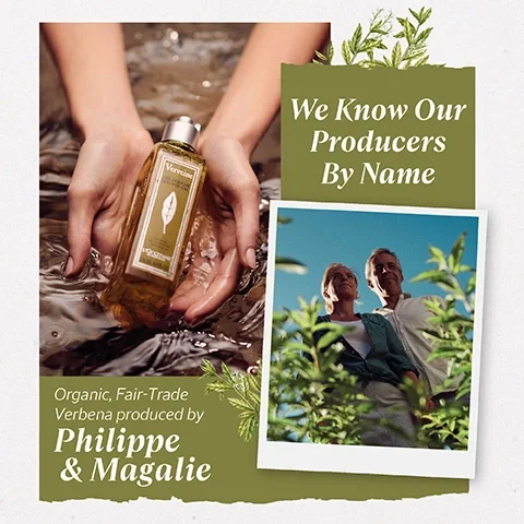 We know our producers by name- Oragnic, Fair-Trade Verbena produced by Philippe and Magalie