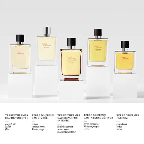 The image shows five Terre dHermès perfume bottles on white pedestals, with text on each bottle and accompanying descriptions below: Bottle 1 displays Terre dHermès, and below the image, Terre dHermès Eau de Toilette with notes of grapefruit, cedar, flint; Bottle 2 displays Terre dHermès Eau Givrée, and below the image, Terre dHermès Eau Givrée with notes of cedrat, juniper berry, Timut pepper; Bottle 3 displays Terre dHermès Eau de Parfum Intense, and below the image, Terre dHermès Eau de Parfum Intense with notes of lively bergamot, warm wood, intense lava stone; Bottle 4 displays Terre dHermès Eau Intense Vétiver, and below the image, Terre dHermès Eau Intense Vétiver with notes of green bergamot, Sichuan pepper, vetiver; Bottle 5 displays Terre dHermès, and below the image, Terre dHermès Parfum with notes of grapefruit, cedar, shiso.