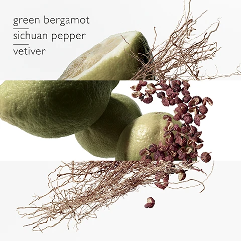 Image 1 - The image displays green bergamot fruits, one cut open, with clusters of red Sichuan peppercorns and tangled brown vetiver roots on a white background, alongside the text green bergamot, sichuan pepper, vetiver. Image 2 - Three green bergamot fruits with textured skin and a stem with a leaf are arranged against a white background, with the text green bergamot in the top right. Image 3 - Scattered reddish-brown Sichuan peppercorns, many open and showing light interiors or black seeds, are displayed against a white background with the text sichuan pepper in the top right. Image 4 - A large cluster of light brown, dried vetiver roots is arranged against a plain white background, with the text vetiver in the top left. Image 5 - Five clear glass Terre dHermès fragrance bottles with varying liquid colors and different caps stand on white pedestals against a light background, with visible text including Terre dHermès Eau de Toilette grapefruit cedar flint, Terre dHermès Eau Givrée cedrat juniper berry Timut pepper, Terre dHermès Eau de Parfum Intense lively bergamot warm wood intense lava stone, Terre dHermès Eau Intense Vétiver green bergamot Sichuan pepper vetiver, and Terre dHermès Parfum grapefruit cedar shiso.