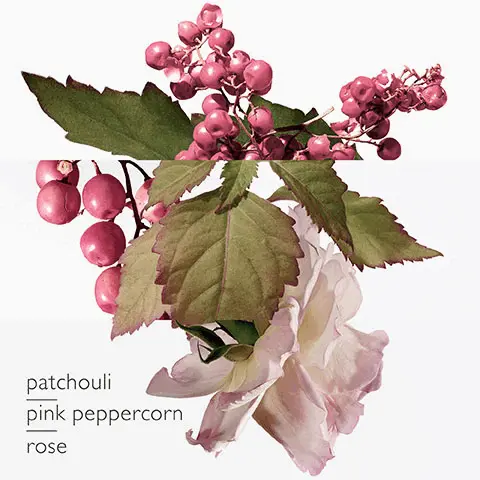 Image 1, the scents, patchouli, pink peppercorn, rose. Image 2, the range, Twilly D'Hermes Eau De Parfum, Twilly D'Hermes Eau Poivree, Twilly D'Hermes Eau Ginger