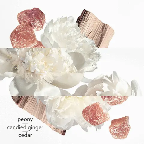 Image 1-4 - included scents. Image 5 - the full range