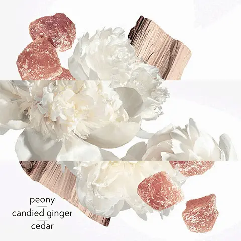 Image 1, the scents, peony, candied ginger, cedar. Image 2, the range, Twilly D'Hermes Eau De Parfum, Twilly D'Hermes Eau Poivree, Twilly D'Hermes Eau Ginger