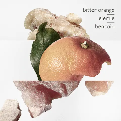Image 1-4 - included scents. Image 5 - The range