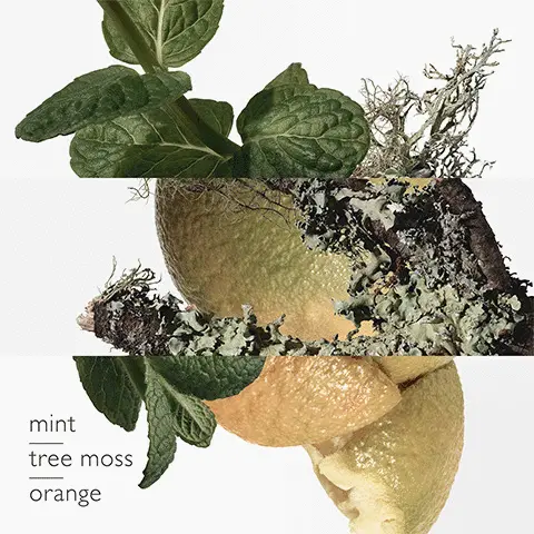 Image 1 - Mint, Tree Moss, Orange Image 2 - Orange Image 3 - Mint Image 4 - Tree Moss Image 5 - Showing the range Text - EAU DE CITRON NOIR black lemon black tea guaia EAU DE RHUBARBE ÉCARLATE rhubarb lantana musk EAU D'ORANGE VERTE orange mint moss