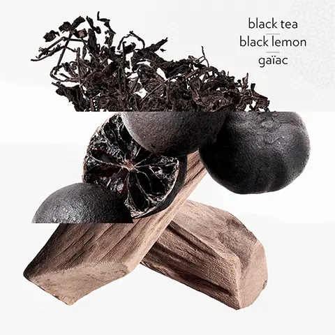Image 1 - Black Tea, Black Lemon, Gaiac Image 2 - Black Lemon Image 3 - Black Tea 4 - Gaiac Image 5 - Showing the range Text - EAU DE CITRON NOIR black lemon black tea guaia EAU DE RHUBARBE ÉCARLATE rhubarb lantana musk EAU D'ORANGE VERTE orange mint moss