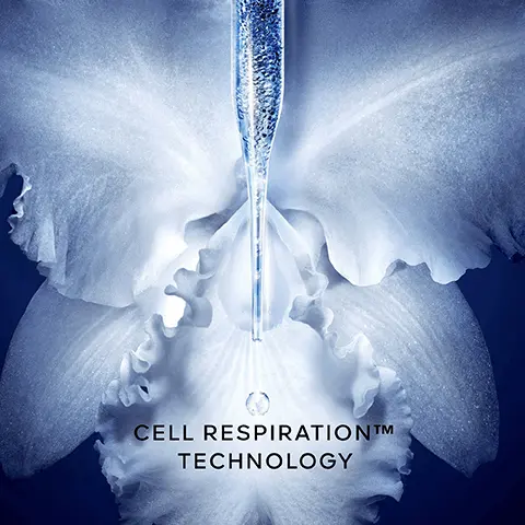 Image 1, CELL RESPIRATIONTMM TECHNOLOGY Image 2, GUERLAIN IS ACTIVELY COMMITTED TO PROTECTING ORCHIDS AND REGENERATING THEIR NATURAL HABITAT. TIANZI RESERVE FOR BIODIVERSITY