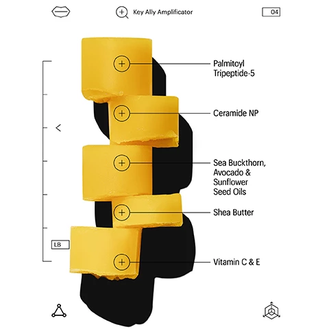 Image 1, key ally amplificator. palmitoyl tripeptide-5, ceramide NP, sea buckthorn, avocado and sunflower seed oils, shea butter, vitamin c and e. Image 2, does it have a tint? our lip balm has an amber hue due to sea buckthorn oil's natural colouring but is clear on application. Image 3, can i wear this under over lip makeup? yes, this buttery balm leaves a colourless and non-sticky or glossy, moisturising sheen for easy makeup application. Image 4, the ultimate makeup priming duo daily treatment and repair lip balm.