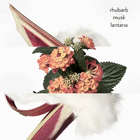 Image 1, rhubarb musk lantana Image 2, rhubarb Image 3, lantana Image 4, musk
