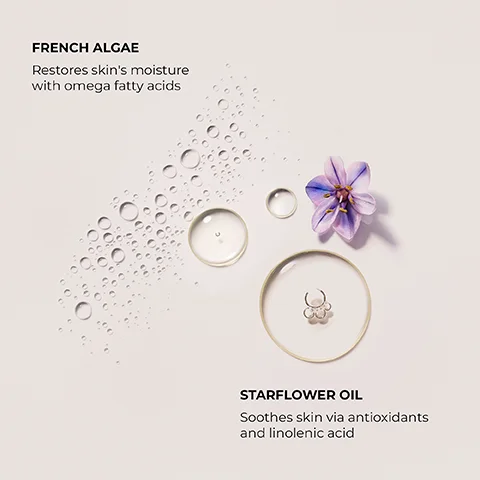 french algae - restores skin's moisture with omega fatty acids. starflower oil- soothes skin via antioxidants and linolenic acid.