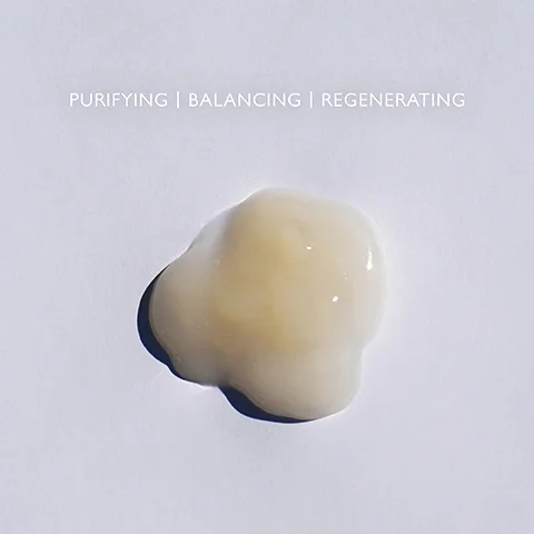 Product swatch on a grey background with the text PURIFYING, BALANCING, REGENERATING.