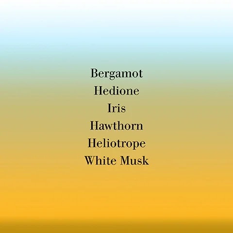An abstract gradient background transitions from light blue to yellow, featuring the text: Bergamot, Hedione, Iris, Hawthorn, Heliotrope, White Musk.
