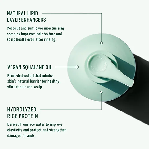NATURAL LIPID LAYER ENHANCERS Coconut and sunflower moisturizing complex improves hair texture and scalp health even after rinsing. VEGAN SQUALANE OIL Plant-derived oil that mimics skin's natural barrier for healthy, vibrant hair and scalp. HYDROLYZED RICE PROTEIN Derived from rice water to improve elasticity and protect and strengthen damaged strands. STOP