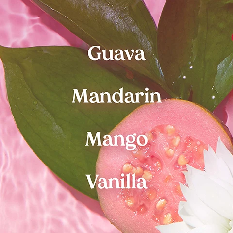 Image 1 - A sliced guava with seeds sits on green leaves above a pink background, featuring the text Guava, Mandarin, Mango, Vanilla in white.
Image 2 - A woman with long dark hair is smiling and spraying a pink fragrance mist from a bottle, with a clear blue sky in the background and the text Clean Hair & Body Fragrance Mists above her.
Image 3 - A person holds a transparent pink bottle labeled Kopari Pink Guava Hair & Body Mist against a bright blue sky, with text next to it stating Paraben-Free, Phthalate-Free, Allergy-Tested, and Derm-Tested.
Image 4 - A pink bottle of Kopari Pink Guava Hair & Body Mist surrounded by green leaves and slices of pink guava on a water surface, with the text Responsibly-Sourced & Featuring Upcycled Ingredients in blue.
Image 5 - Image shows five bottles of hair and body mist in various colors, labeled with different scent names: Pink Guava, Kanapali Coast, Mirabella Bloom, Seychelles Sands, and Marula Peach, along with text reading Available In 5 Scents Of Paradise and a badge marked New.
Image 6 - A hand holding a pink spray bottle labeled Kopari Pink Guava Hair & Body Mist with blue sky and clouds in the background, accompanied by the text For Everybody, Everywhere.