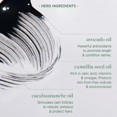 Image 1 - A close-up of a swirling dark cosmetic product next to text listing HERO INGREDIENTS avocado oil Powerful antioxidants to promote length & condition lashes camellia seed oil Rich in oleic acid vtiamins & omegas Protects skin from free radicals & environmental cacahuananche oil Stimulates lash follicles to rebuild enhance & protect hairs. Image 2 - Image divided into three sections showing avocado, pink flower petals, and green leaves, with text reading avocado oil powerful antioxidants to promote length & condition lashes. camellia seed oil rich in oleic acid, vitamins & omegas. protects skin from free radicals. cacahuananche oil stimulates lash follicles to rebuild, enhance & protect hairs. Image 3 - A person applies mascara in a close-up image featuring text overlays long-lasting & waterproof, low irritation for sensitive eyes, supports growth & strength of lashes, clean, vegan & cruelty free, and the product tube shows Ere Perez. Image 4 - Image of a white mascara tube with its cap and brush alongside an avocado slice, featuring text that reads clean free from pfas forever chemicals & toxic ingredients, parabens, phthalates Ere Perez water-less formula reducing our water footprint vegan & cruelty free safe for sensitive eyes. Image 5 - A split image shows a close-up of a persons eye before and after applying mascara, with the text Avocado Waterproof Mascara Black, before, and after. Image 6 - A split image shows a persons eye before mascara with shorter lashes and after mascara with longer lashes, with visible text Avocado Waterproof Mascara Black before after.