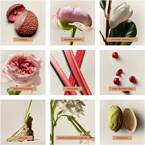 A grid of nine panels each displaying a natural ingredient with its name: a lychee fruit with one half peeled labeled LYCHEE, a pink Chinese peony flower labeled CHINESE PEONY, a white Chinese magnolia flower on a branch labeled CHINESE MAGNOLIA, a pink centifolia rose labeled CENTIFOLIA ROSE, several red rhubarb stalks labeled RHUBARB, scattered red pink peppercorns labeled PINK PEPPERCORN, a vetiver root with green shoots labeled VETIVER, white night-blooming jasmine flowers labeled NIGHT-BLOOMING JASMINE, and two pistachios, one shelled, labeled PISTACHIO.