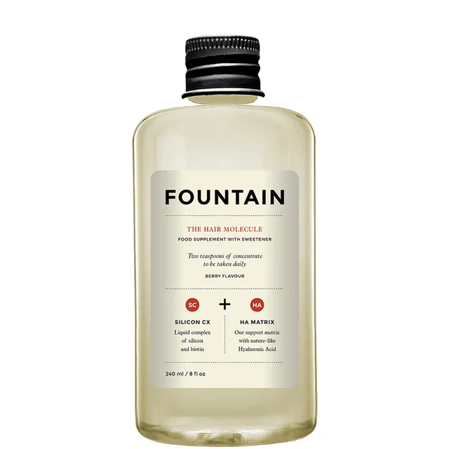 FOUNTAIN The Hair Molecule (240ml)