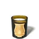 TRUDON Ernesto Classic Candle - Leather & Tobacco