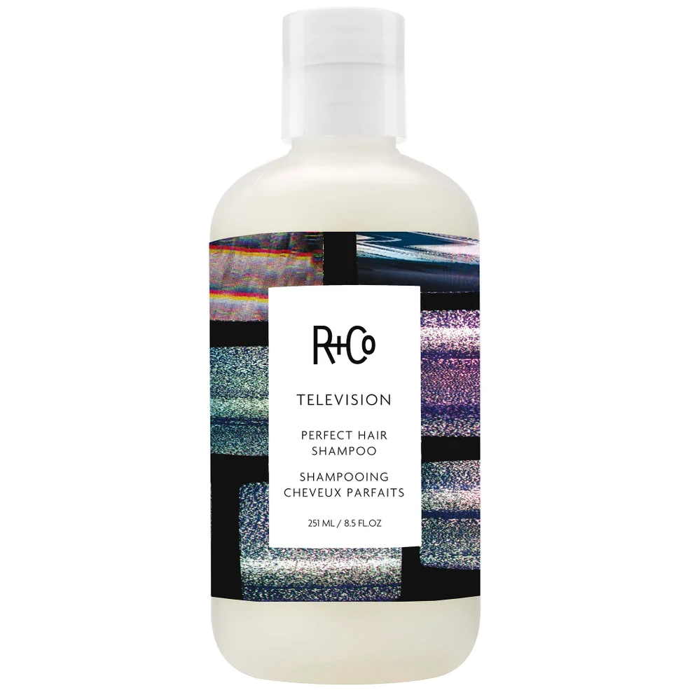 R+Co TELEVISION Perfect Hair Shampoo 8 fl. oz. Image 1