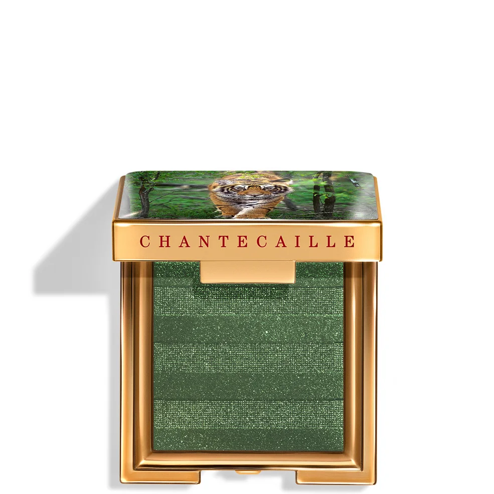 Chantecaille Luminescent Eye 2.5g (Various Shades) Image 1