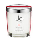 Jo Loves A Home Candle Fig Trees