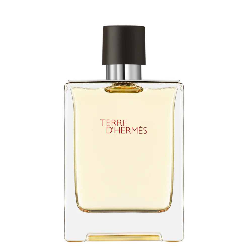 Hermès Terre d'Hermès Eau de Toilette 100ml Image 1