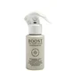 The Light Salon Cleanse and Recovery Spray 100ml
