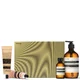 Aesop Majestic Melodies Elaborate Body Kit