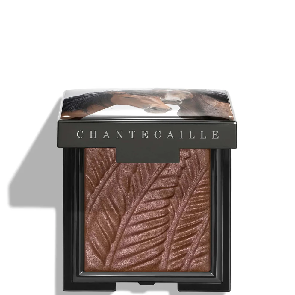 Chantecaille Wild Mustang Matte Eyeshadow 2.5g (Various Shades) Image 1
