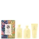 Oribe Hair Alchemy Travel Set