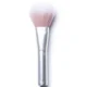 RMS Beauty Skin2Skin Powder Blush Brush