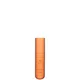 Augustinus Bader The Serum 15ml