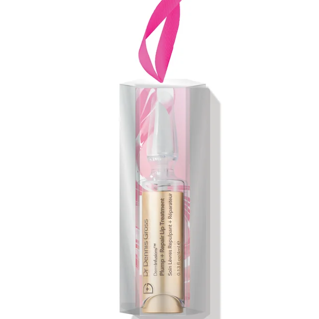 Dr Dennis Gross Skincare Lip Ornament Kit