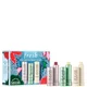 Fresh Tint Mint and Treat Lip Kit