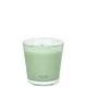 NEST New York Cucumber and White Sage Classic Candle 230g