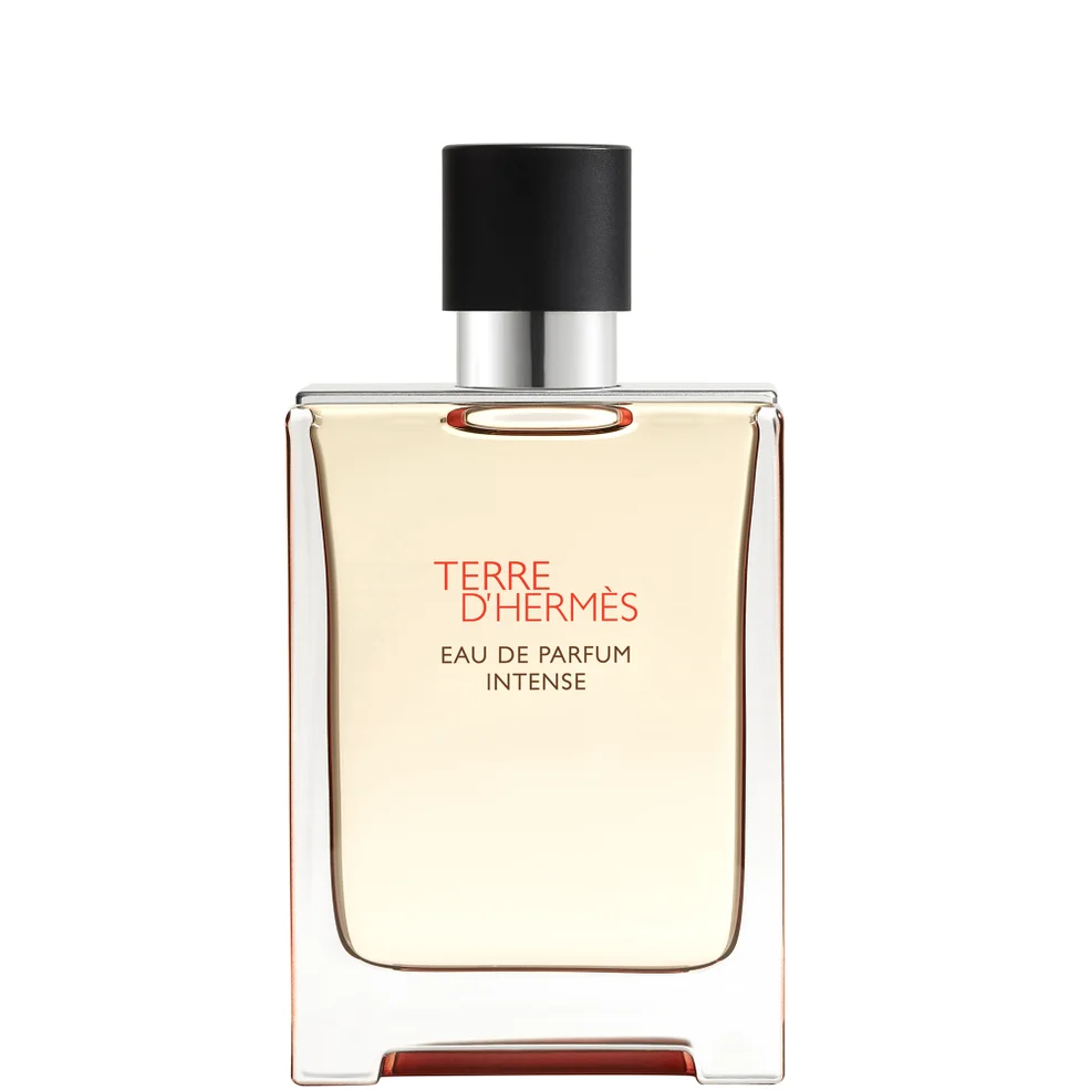 Hermès Terre d'Hermès Eau de Parfum Intense 100ml Image 1