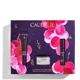 Caudalie The Ultimate Anti-Ageing Solution (Worth £99)