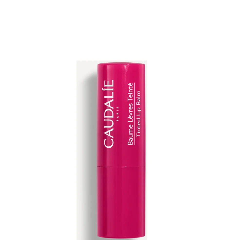 Caudalie Tinted Lip Conditioner 4.5G Image 1