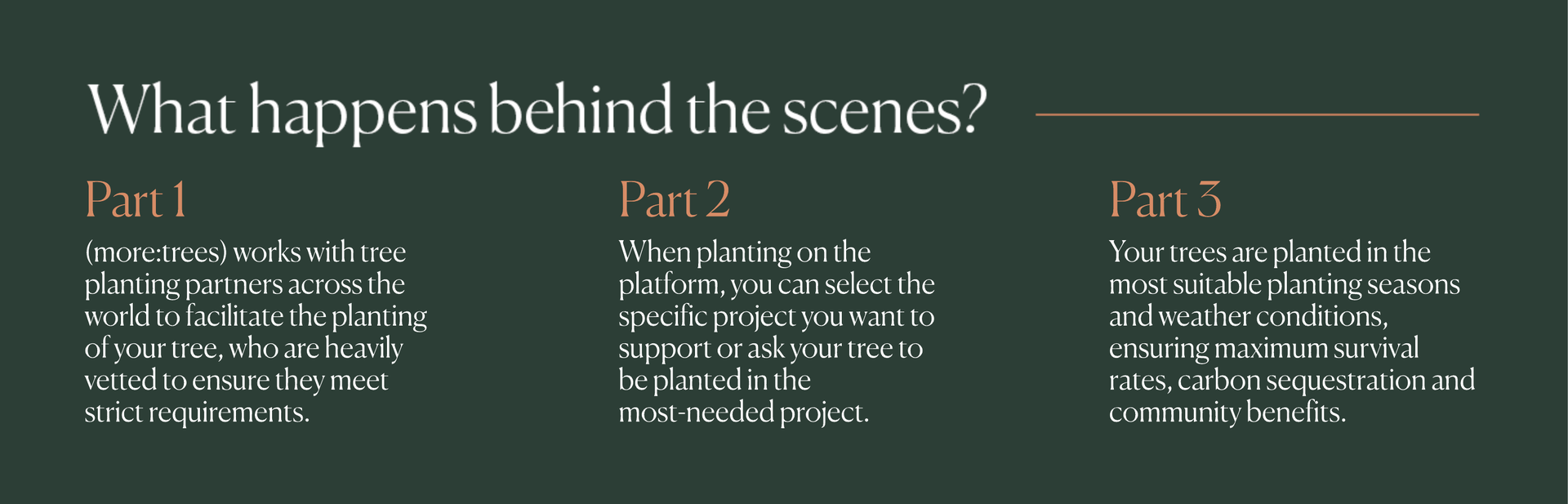 What happens behind the scenes?