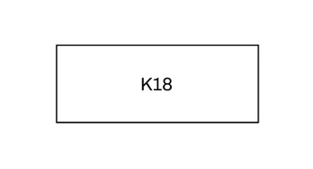 K18