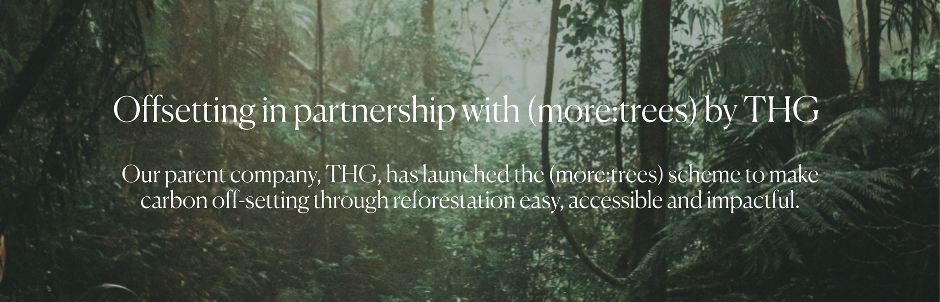 Offsetting in partnership with more:trees by THG
