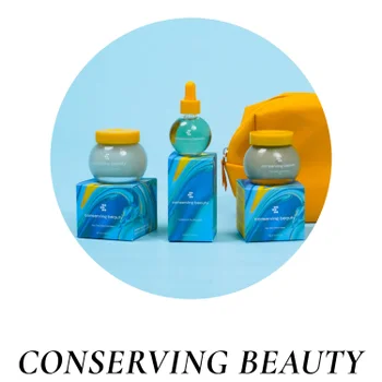 Conserving Beauty