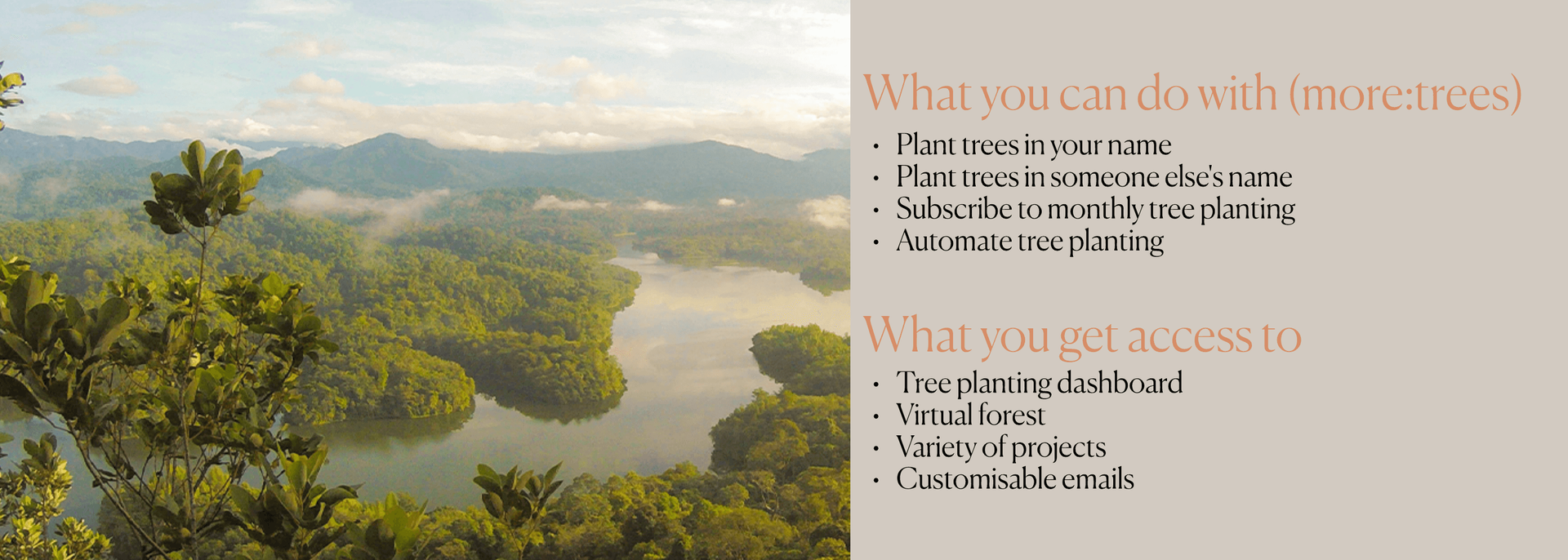 What can you do with more:trees?