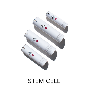 stem cell